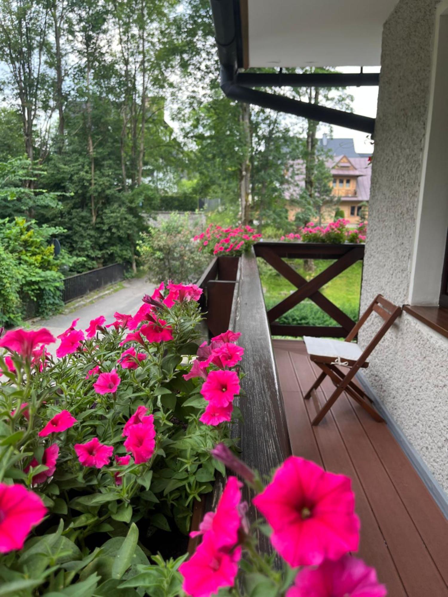 Marina Zakopane Bed and Breakfast Δωμάτιο φωτογραφία